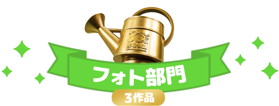 フォト部門