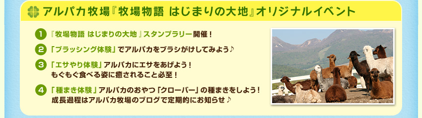 アルパカ牧場『牧場物語 はじまりの大地』オリジナルイベント １．牧場物語 はじまりの大地』スタンプラリー開催！ ２．「ブラッシング体験」でアルパカをブラシがけしてみよう♪ ３．「エサやり体験」アルパカにエサをあげよう！もぐもぐ食べる姿に癒されること必至！ ４．「種まき体験」アルパカのおやつ「クローバー」の種まきをしよう！成長過程はアルパカ牧場のブログで定期的にお知らせ♪