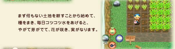 まず何もない土地を耕すことから始めて、種をまき、毎日コツコツ水をあげると、やがて芽がでて、花が咲き、実がなります。