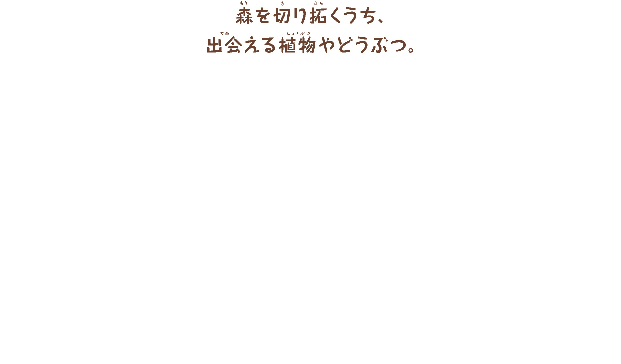 森を切り拓くうち、
        出会えるどうぶつ。