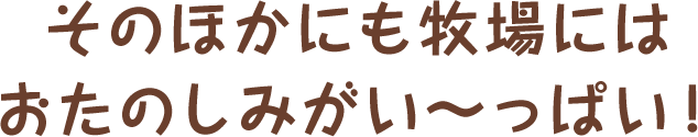 そのほかにも牧場にはおたのしみがい～っぱい！