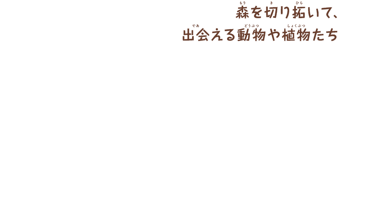 森を切り拓いて、
        出会える動物や植物たち