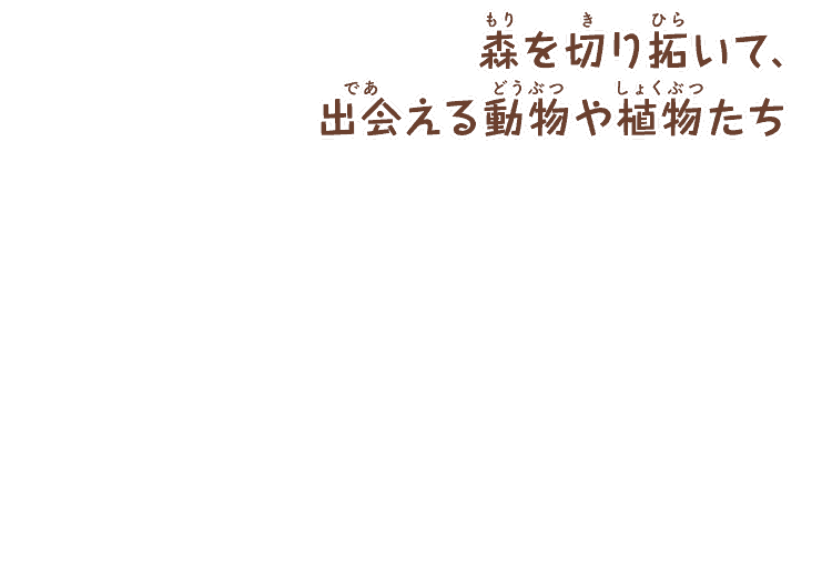 森を切り拓いて、
      出会える動物や植物たち