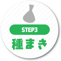 step03種まき