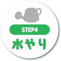 step04水やり