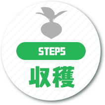 step05収穫