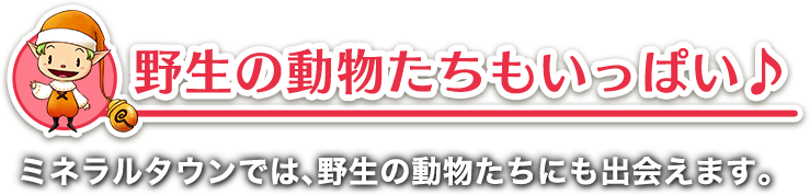 野生の動物たちもいっぱい