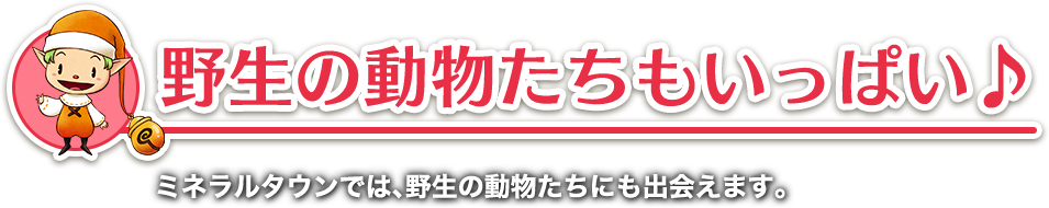 野生の動物たちもいっぱい