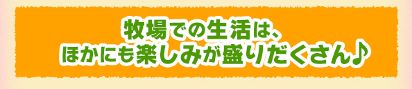 牧場での生活は、ほかにも楽しみが盛りだくさん♪