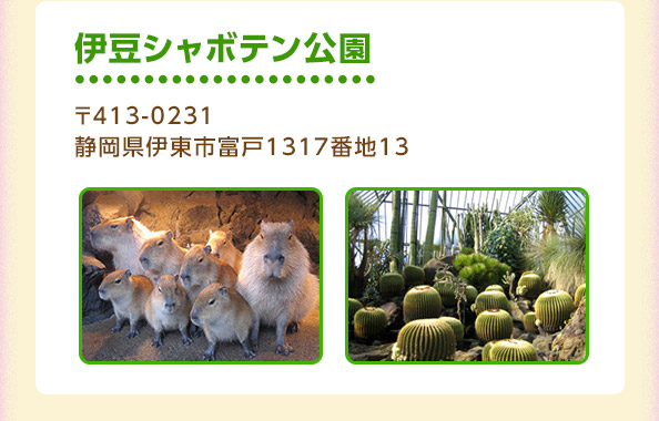 伊豆シャボテン公園