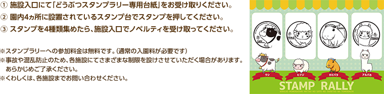 ① 施設入口にて「どうぶつスタンプラリー専用台紙」をお受け取りください。② 園内4ヵ所に設置されているスタンプ台でスタンプを押してください。③ スタンプを4種類集めたら、施設入口でノベルティを受け取ってください。