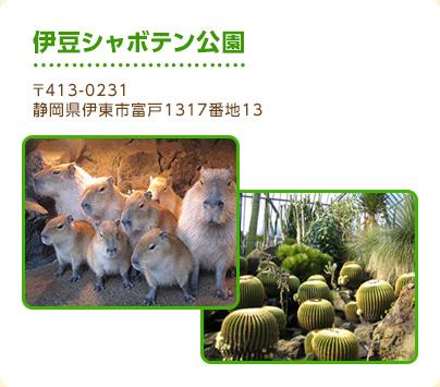 伊豆シャボテン公園