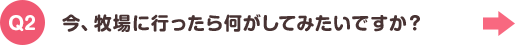 Q2. 今、牧場に行ったら何がしてみたいですか？