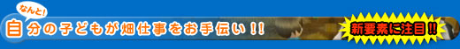 新要素に注目!! なんと、自分の子どもが畑仕事をお手伝い!!