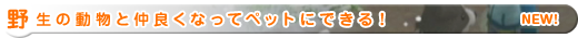 野生の動物と仲良くなってペットにできる！